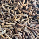 [Best Seller] Sale Pisang Goreng Pisang Ambon Flashsale Live