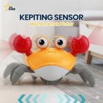 MINISTAR Mainan Kepiting Sensor dan Musik: Edukasi & Interaktif untuk Si Kecil