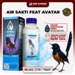 Air Sakti Umi Kasum: Air Antioksidan Tinggi Khusus untuk Sang Burung Juara