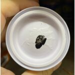 Cat Kuda Terbang: Cat Berkualitas untuk Segala Kebutuhan Anda!