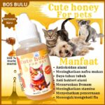 Cute Honey Madu Vitamin Nafsu Makan & Daya Tahan Tubuh Kucing 30ml