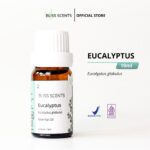 Eucalyptus Essential Oil Murni 10ml untuk Aromaterapi dan Kesehatan Pernapasan