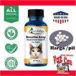 Breathe Easy for Cats: Solusi Alami untuk Gangguan Pernapasan Kucing