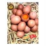 Promo Telur Omega 3 LaVIDA (30 Butir)